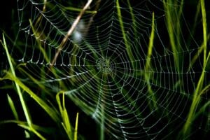 Les pièges de l'IA en e-learning